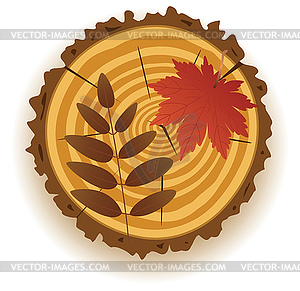 Vector wooden cut - vector clip art