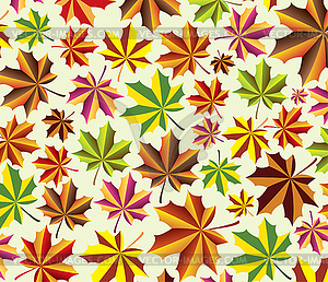 Vector maple leaves - vector clipart