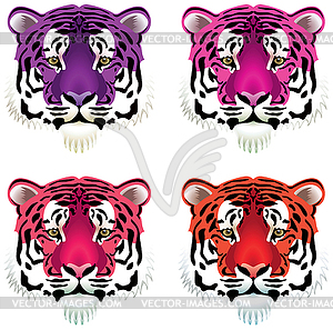 Tiger heads - vector image
