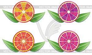 Vector citrus slices - vector image