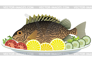 Cooked fish and raw vegetables on plate - vector image