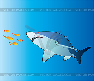 Акулы и тропические рыбы - изображение векторного клипарта