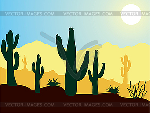 Cactus in desert - vector image
