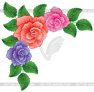 Roses with leaves - vector clipart