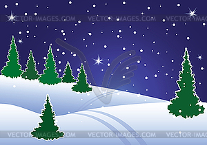 Winter fir tree forest at night - vector clipart