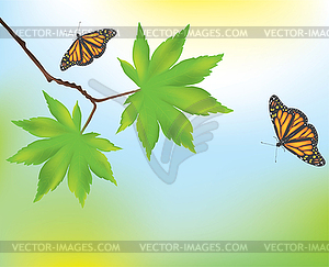 Maple leaves and butterflies - vector image