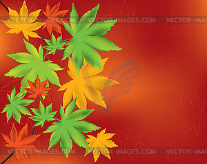 Maple leaves - vector clipart