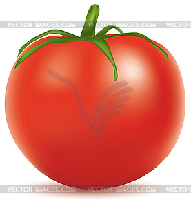 Tomato - vector clipart