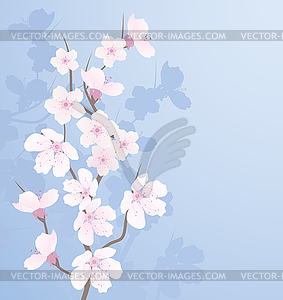 Cherry branch - vector image