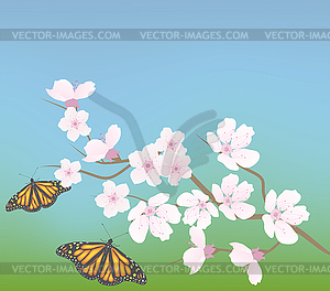 Cherry branch and butterflies - vector clip art