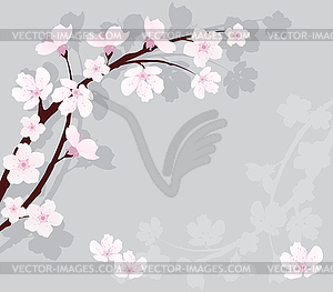 Cherry branch - vector clipart / vector image