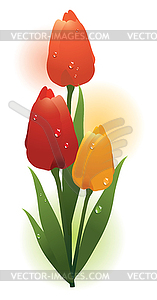 Bunch of colorful tulips - vector image