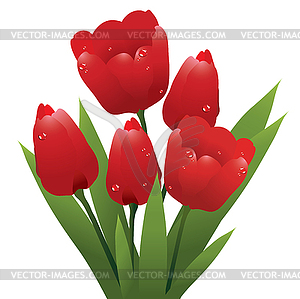 Bunch of red tulips - vector clipart
