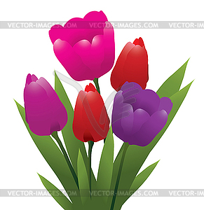 Bunch of tulips - vector clipart