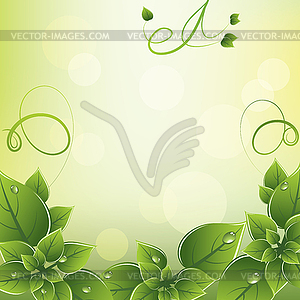 Кадр со свежими зелеными листьями - изображение в формате EPS