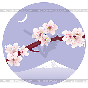 Branch of sakura (cherry) - vector clip art