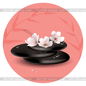 Zen Stones And Cherry Flowers Royalty Free Vector Clipart