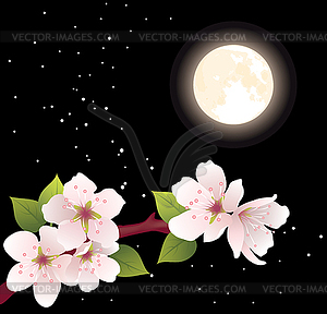 Cherry branch and moon - vector image