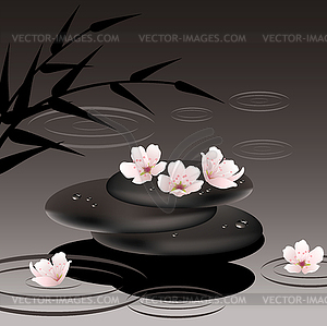 Zen stones and cherry flowers - vector clip art