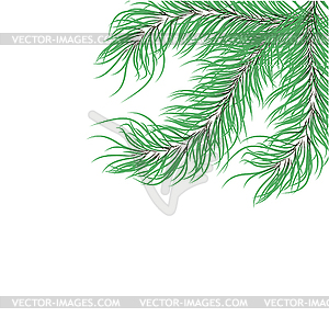 Green fir branches - vector clipart / vector image
