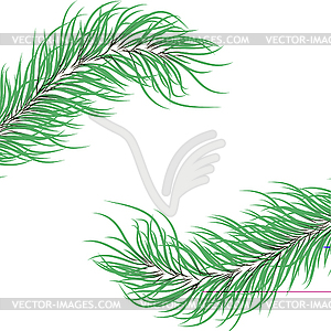 Зеленые еловые ветки - изображение в формате EPS