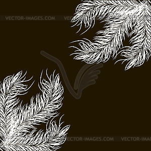 Hite fir tree branch  - vector image