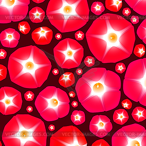 Pattern with ipomoea flowers - vector clipart