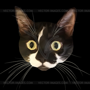 Staring cat head with big eyes and triangular style - vector image