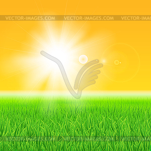 Green grass under sun - vector clip art