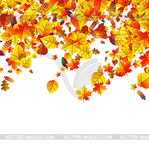 Autumn leaves scattered background. Oak, maple and - vector clip art