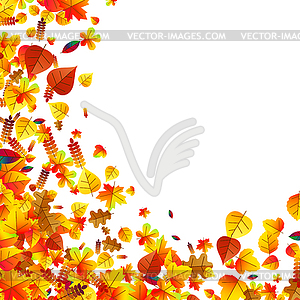 Autumn leaves scattered background. Oak, maple and - vector image