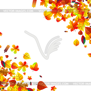 Autumn leaves scattered background. Oak, maple and - vector image