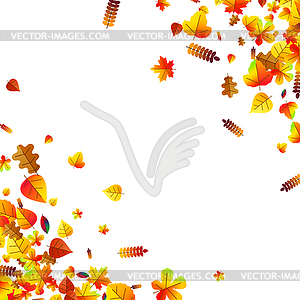 Autumn leaves scattered background. Oak, maple and - vector clipart