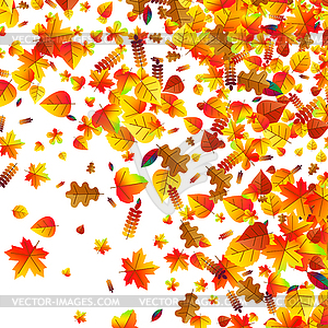 Autumn leaves scattered background. Oak, maple and - vector clipart