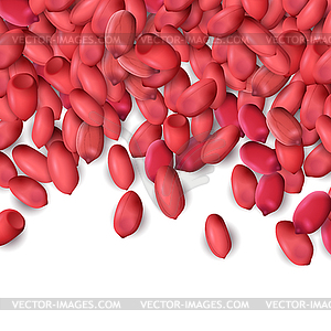 Arachis or peanuts background with red scattered - vector image