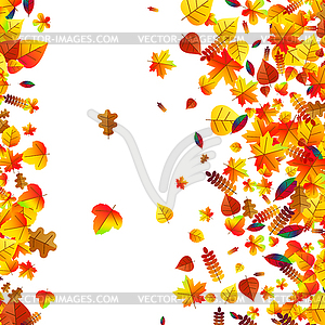 Autumn leaves scattered background. Oak, maple and - vector image