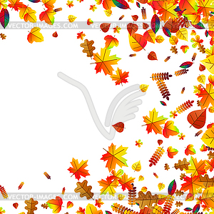 Осенние листья разбросаны фоне. Дуб, клен и - изображение в векторе / векторный клипарт