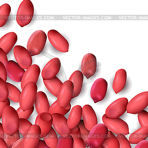 Арахис или арахис фон с красным разбросаны - векторный графический клипарт