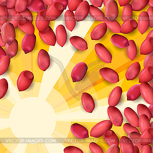 Арахис или арахис фон с красным разбросаны - цветной векторный клипарт