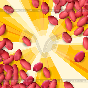 Arachis or peanuts background with red scattered - vector image