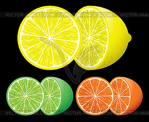 Set of citrus fruits - vector clip art