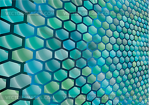 Hexagonal cells background - vector image