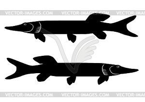 Pike - vector clipart / vector image