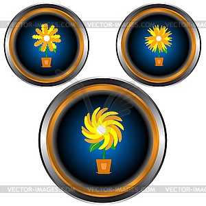 Flowers in pots - vector clipart