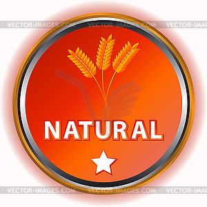 Natural icon - vector clip art