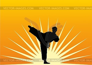 Karate - vector clipart