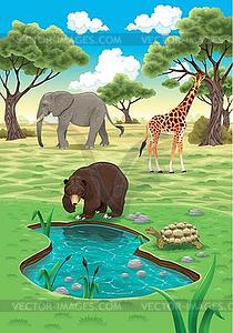Animals in nature - vector clipart