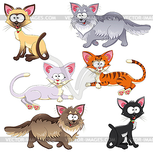 Family of cats - vector clip art