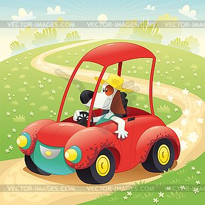 Funny dog on car - vector image