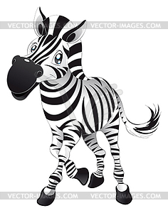 Baby Zebra - vector clip art